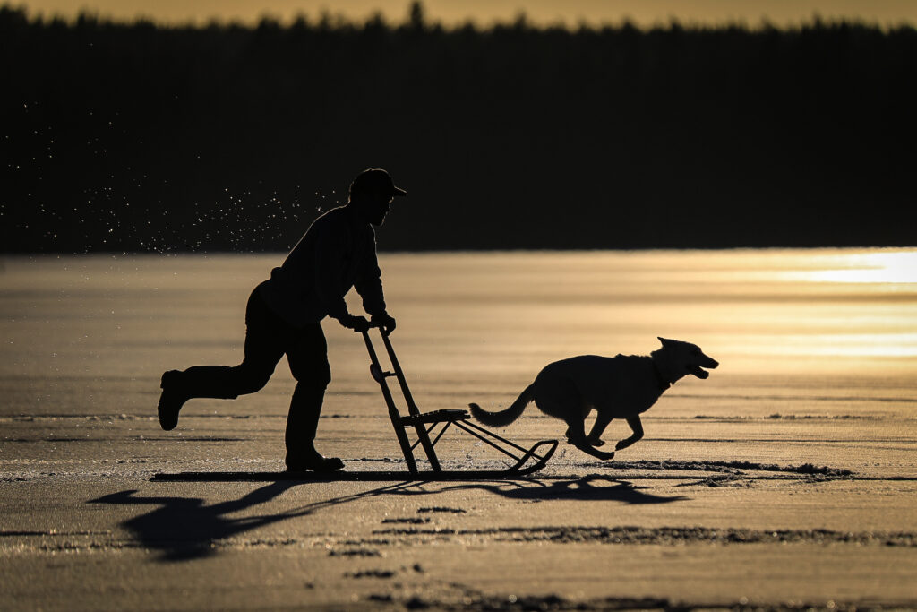 Potkurilla koiran kanssa järven jäällä