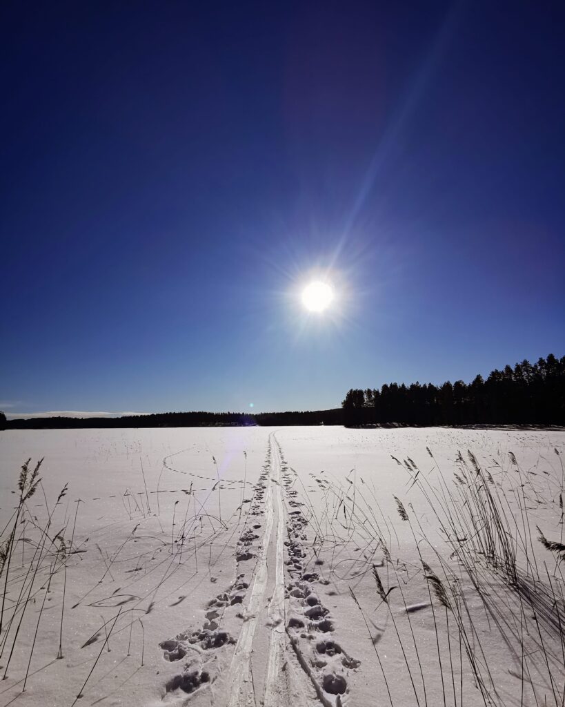 Hiihtoa järven jäällä kevättalvella.